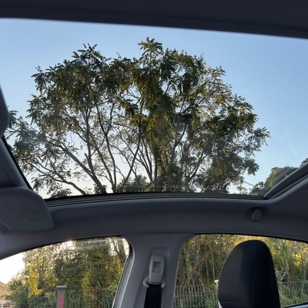 SaveClip.App_640432161_18093464555029712_9140741261065922018_n