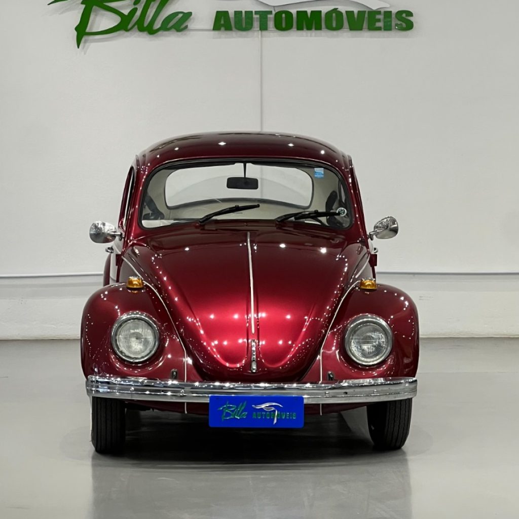 WhatsApp-Image-2025-12-06-at-00.19.14-1